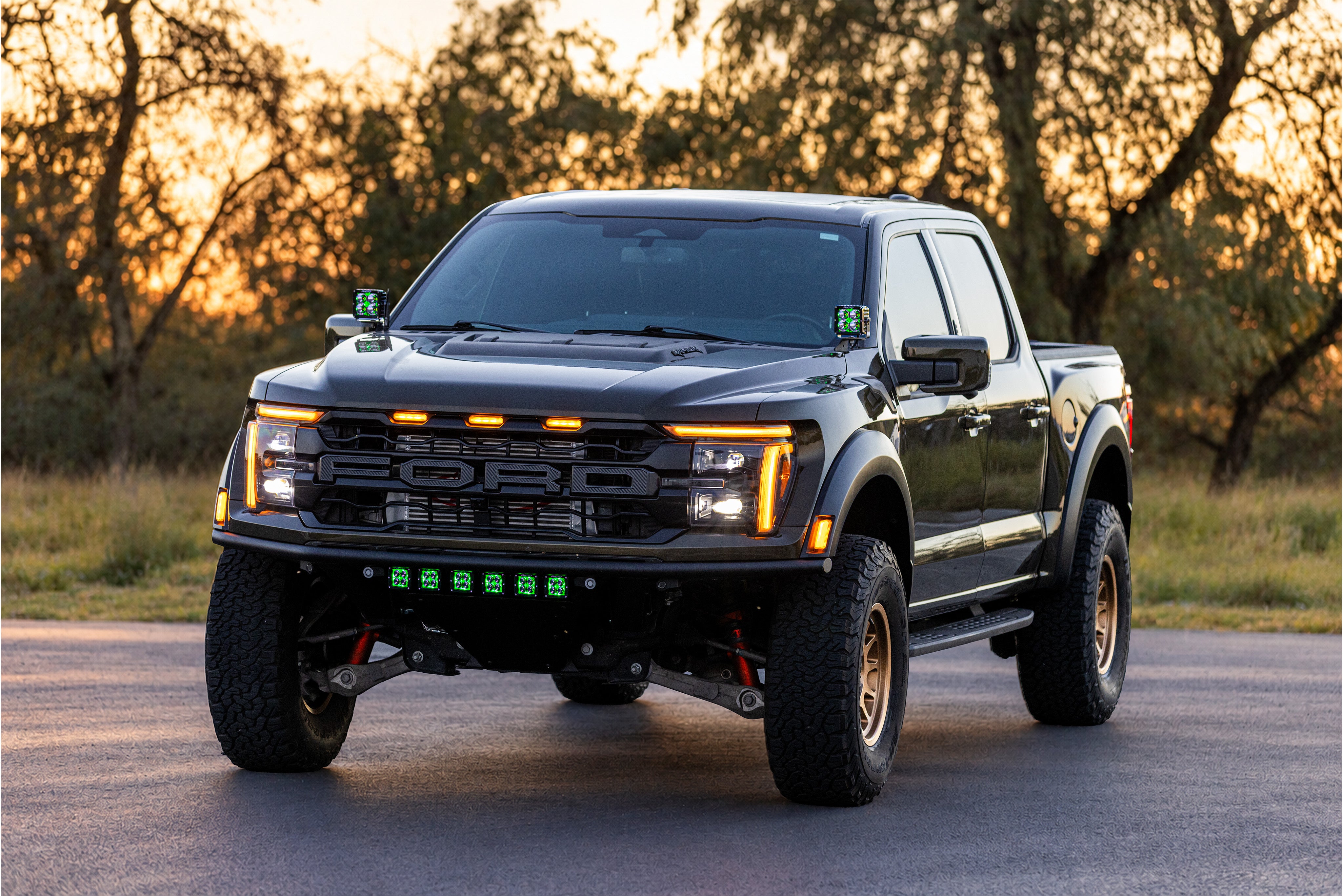 MEET THE SWW FORD F-150 Custom RAPTOR